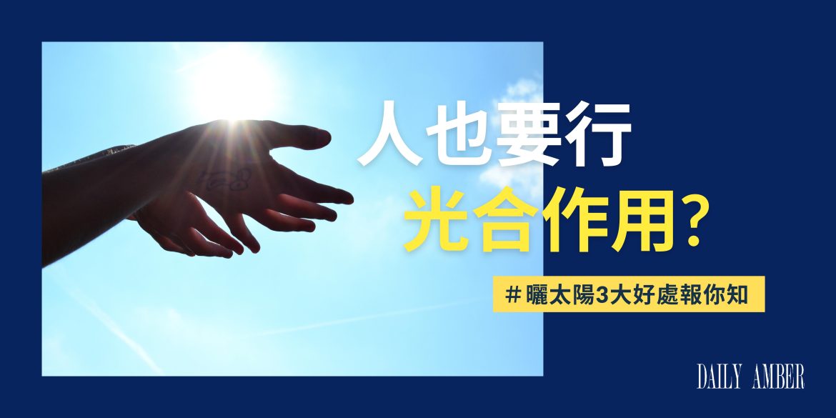 13 人也要行光合作用_曬太陽3大好處報你知 沒事就快去曬太陽吧